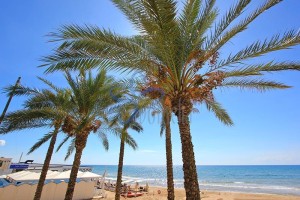 beach, Sicily, Holiday, Estevillas , villa rental